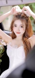 藤本树